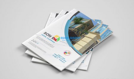 Catalogue công ty Việt Tinh