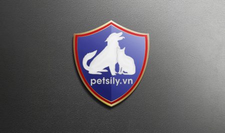Logo Petsily