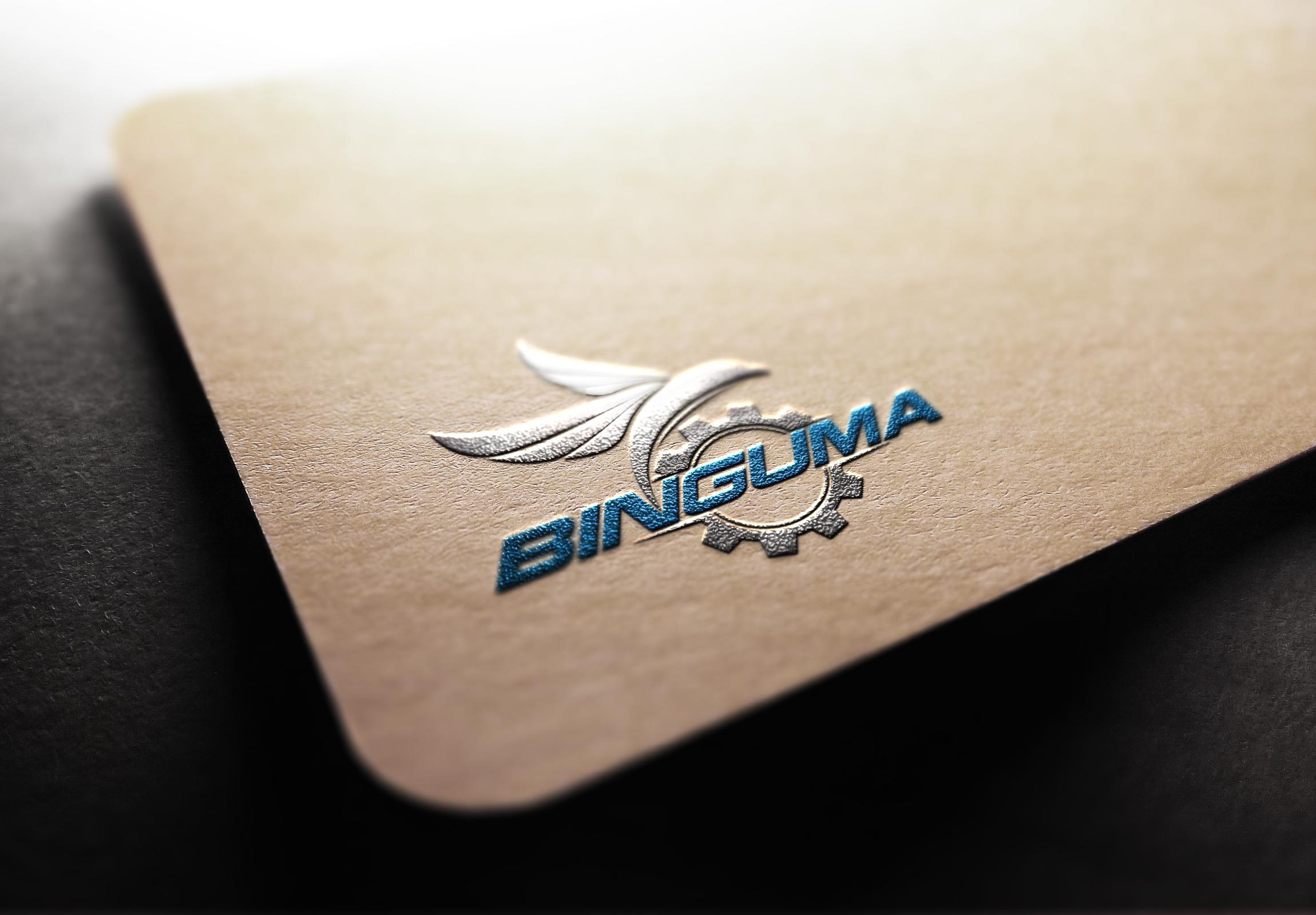 thiết kế logo thương hiệu binguma 2