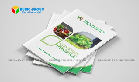 Mẫu hồ sơ năng lực công ty thực phẩm chuyên nghiệp