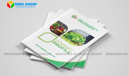 Mẫu hồ sơ năng lực công ty thương mại bao gồm những gì?