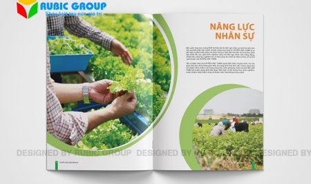 Dịch vụ thiết kế hồ sơ năng lực giá rẻ trọn gói