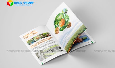 Thiết kế hồ sơ năng lực công ty thực phẩm tạo dấu ấn cho khách hàng