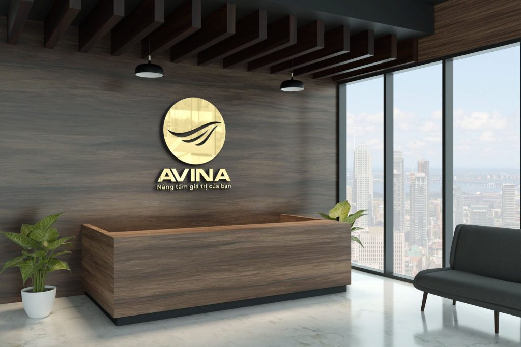 avina 2