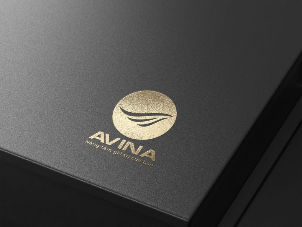 avina 3