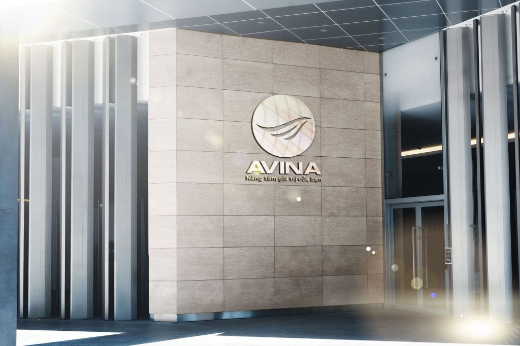 avina 6