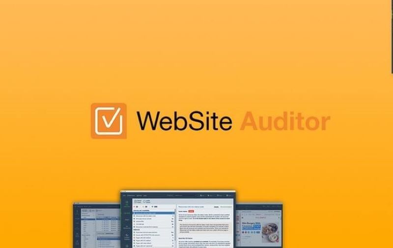 Website Auditor